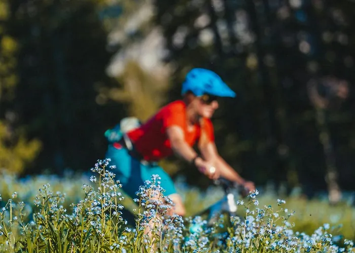 Chamois Blanc - Quiet Close To The Town Centre - By Cozee