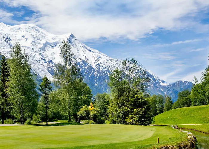 Chamois Blanc - Quiet Close To The Town Centre - By Cozee Appartement Chamonix